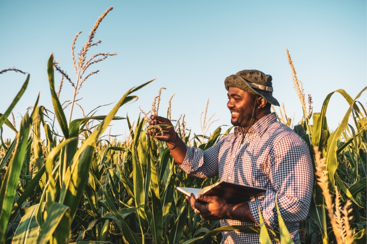 Agricultural Insurance