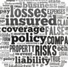 Insurance jargon